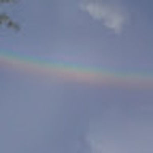 Meet your Posher, Sucesse